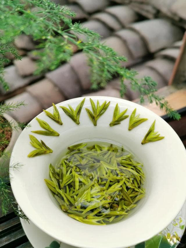 四川最出名的十大名茶一览，你爱喝的茶上榜了吗？