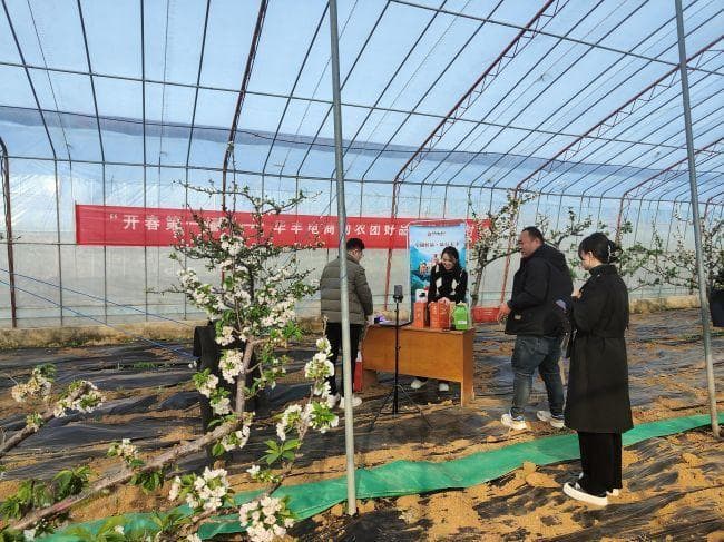 山东宁阳：直播助农拓销路 乡村振兴新征程