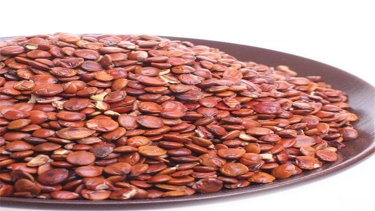炒枣仁的功效与作用、禁忌和食用方法