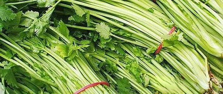西芹与芹菜的区别：形态、营养到烹饪全攻略