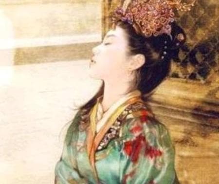 长平公主：历史迷雾中的皇室女性形象