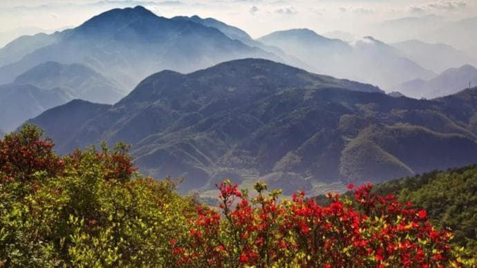 行春路，上春山！清明小长假上海周边户外赏花徒步线路推荐