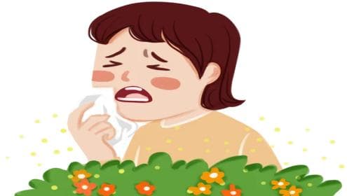 春风拂面百花集，科学应对“花粉季”