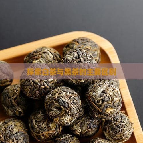 探索白茶与黑茶的主要区别