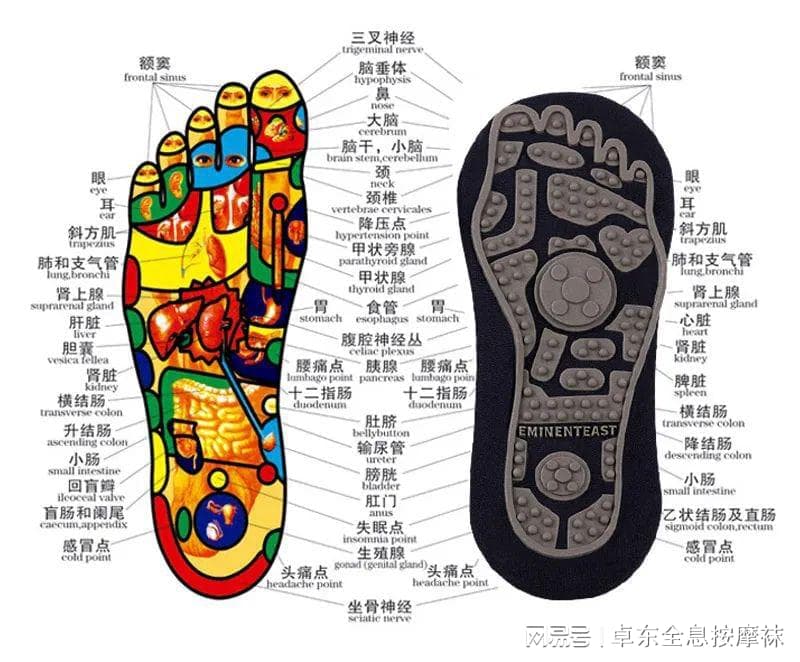 千年经络密码：解码人体生命能量的古老智慧与现代健康革命