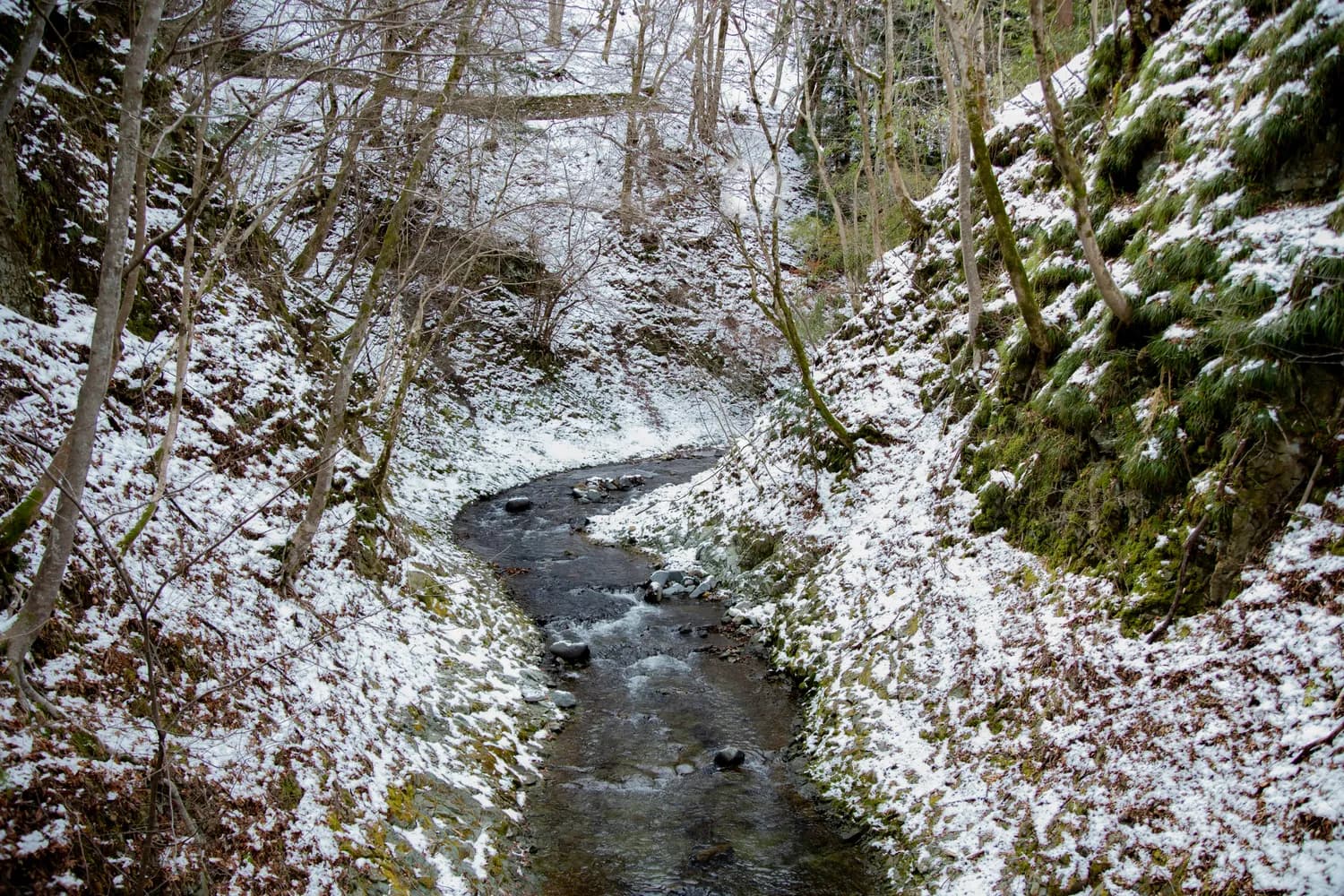 冬日雅安：赏大熊猫、观雪山、泡温泉，三大景区游玩指南