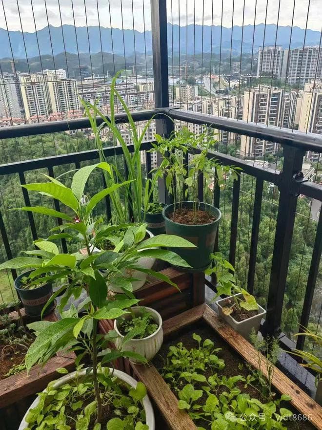 并非迷信：床靠两面墙，家人病怏怏，啥意思，床不宜这两面墙吗？