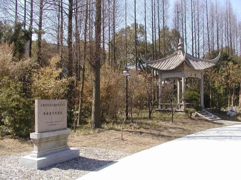 上海亭林古文化遗址：良渚文明的见证