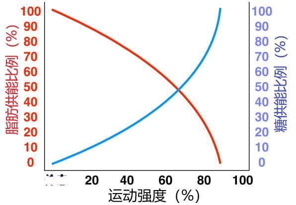 科学“燃脂”指南