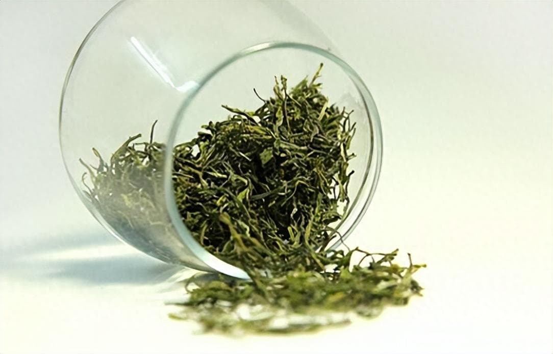 庐山云雾茶：自然与传统的完美融合