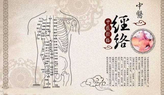 十二经络的生理功能和病理作用