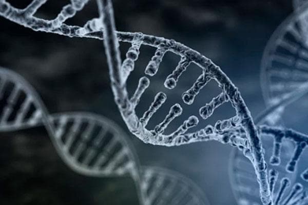 DNA鉴定费用全解析：从几百到上万，不同检测方式价格大盘点