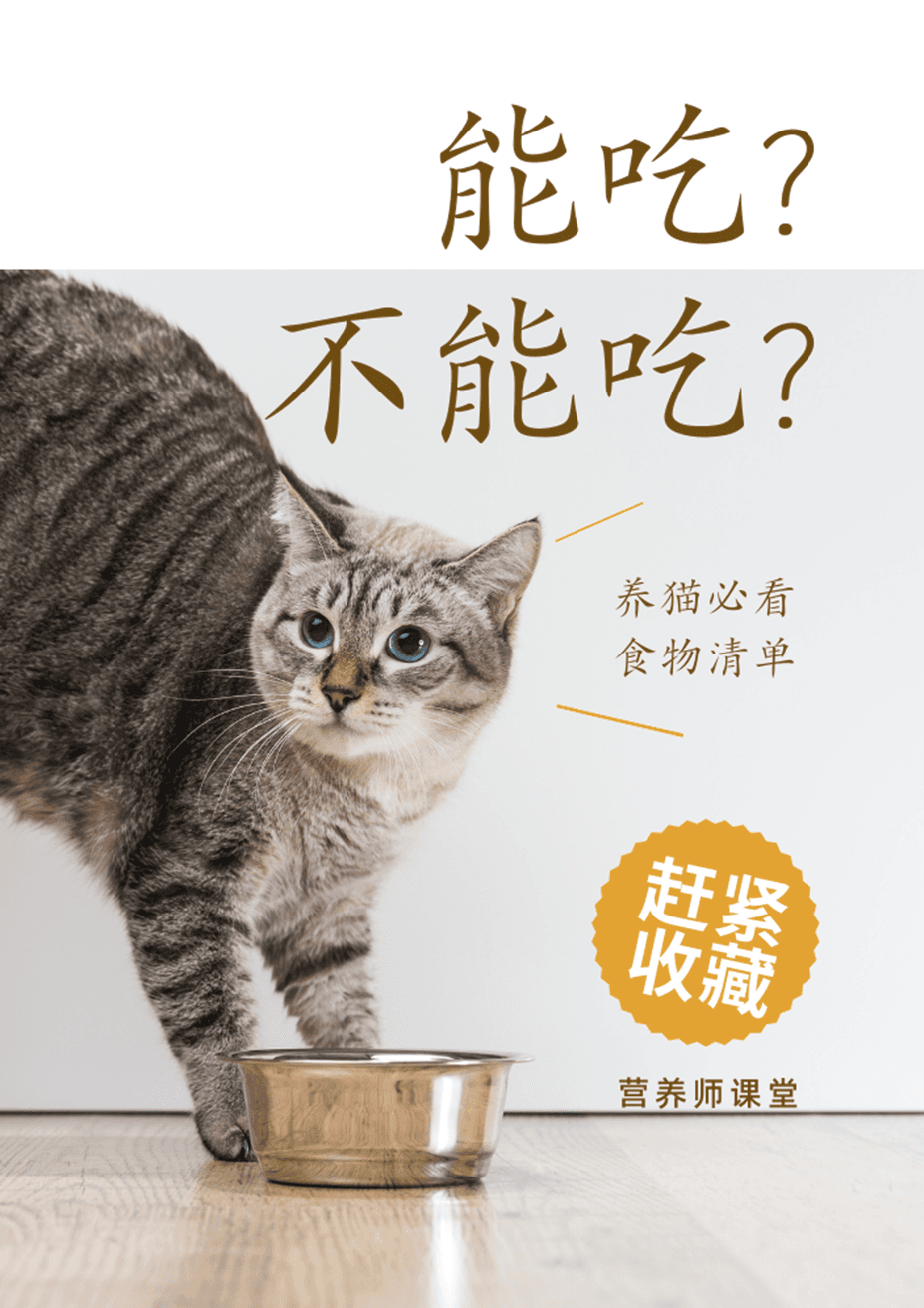 【收藏】最全！猫咪能吃&不能吃食物清单