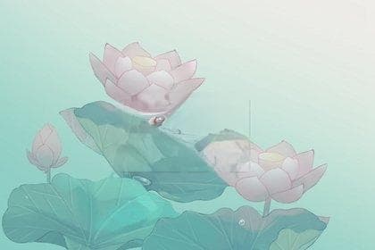 送蛋糕的寓意是什么意思