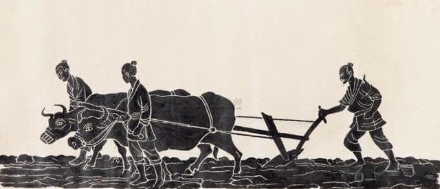 从铁犁牛耕看中国古代农业的变革与文明的兴起