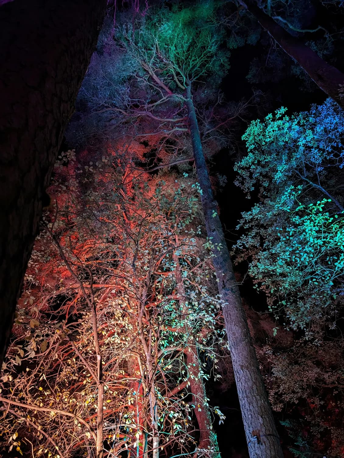 园林景观照明新趋势：打造梦幻夜景