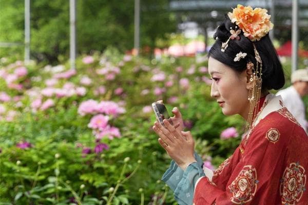 河南洛阳：靠传统聚“文气”“商气”“人气”