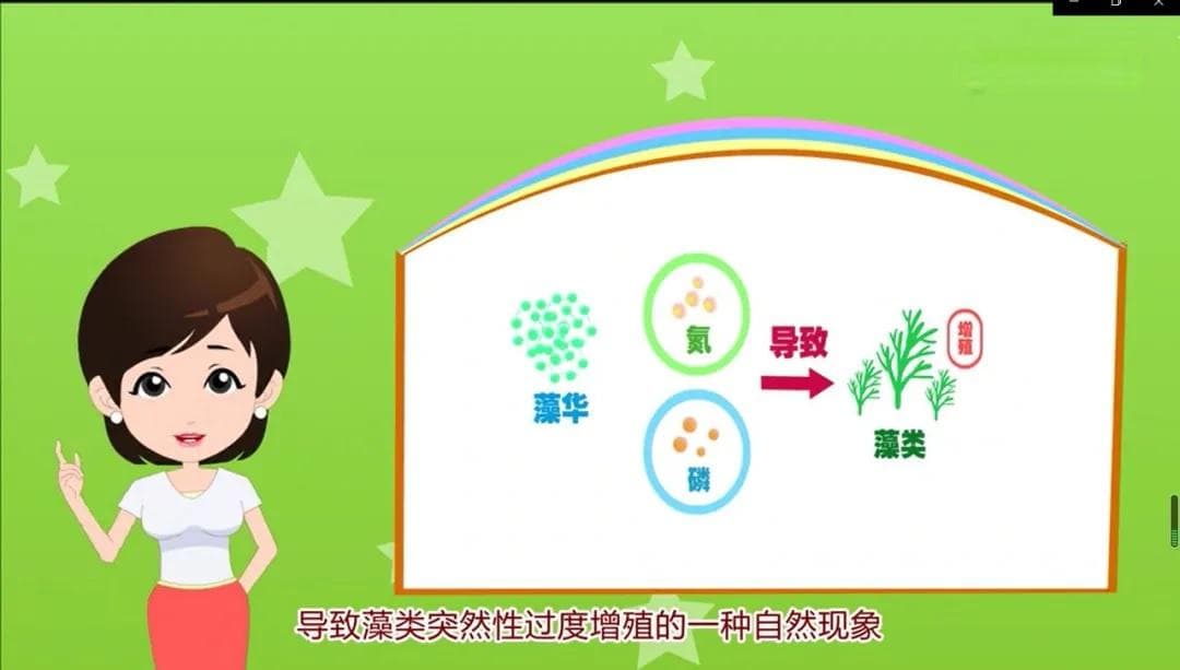 环保科普 | “水体杀手”水华的成因和危害