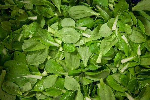 菠菜的22大健康益处：从抗癌到降血压，这种常见蔬菜的营养价值远超你想象
