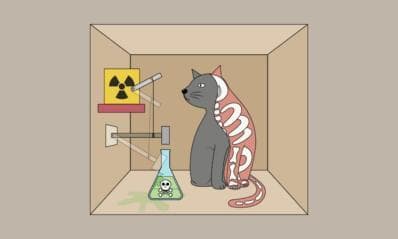 薛定谔的猫如何一战成名
