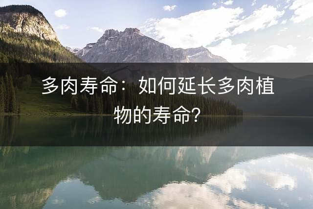 多肉寿命：如何延长多肉植物的寿命？