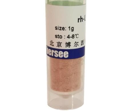 铁蛋白的结构特点及临床应用