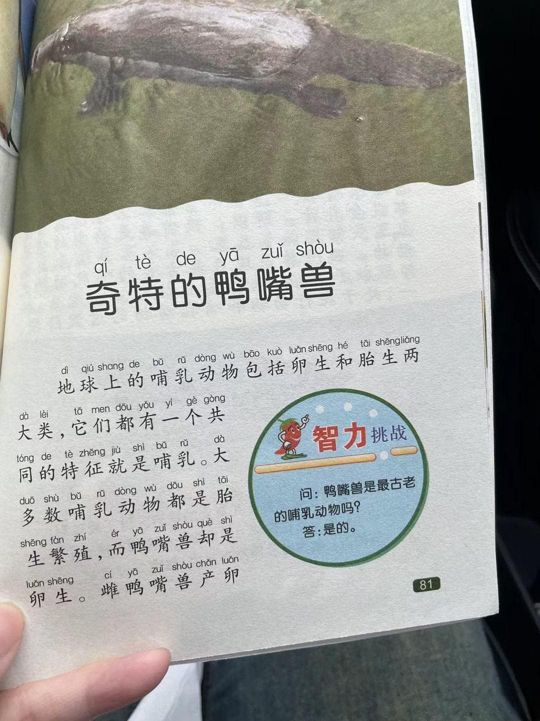 中国孩子的百科全书之奇特的鸭嘴兽