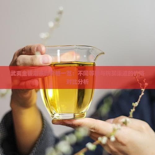 武夷金骏眉茶叶价格一览：不同等级与购买渠道的价格对比分析