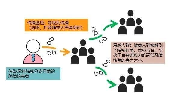 结核病防治指南：从症状识别到日常护理