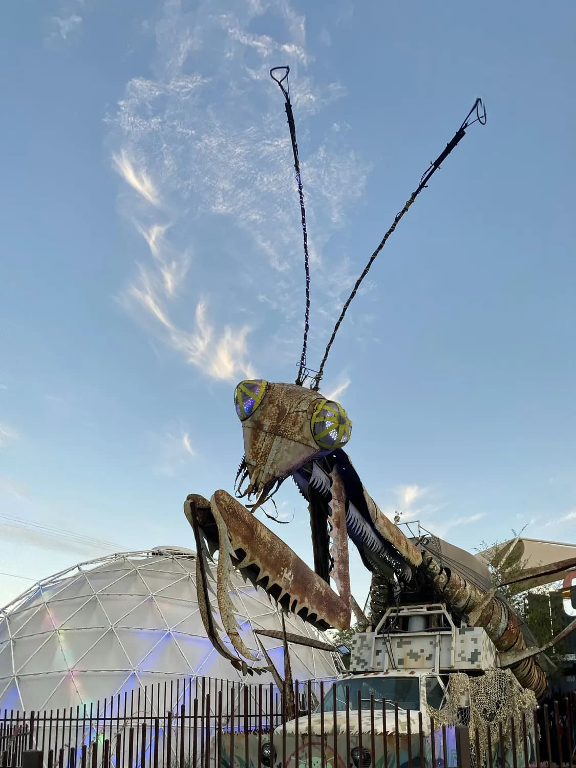 从标本到VR体验：城市文化中心举办昆虫主题展