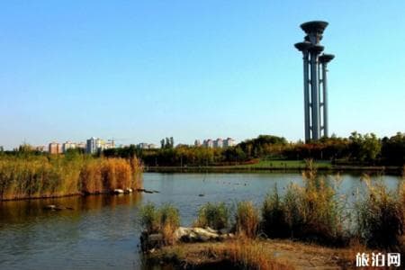 畅游北京奥森：赏花、骑行、划船，南北两园游玩指南
