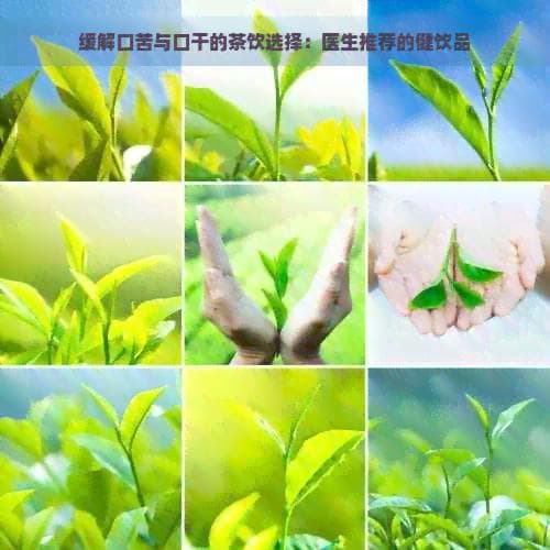 缓解口苦与口干的茶饮选择：医生推荐的健饮品