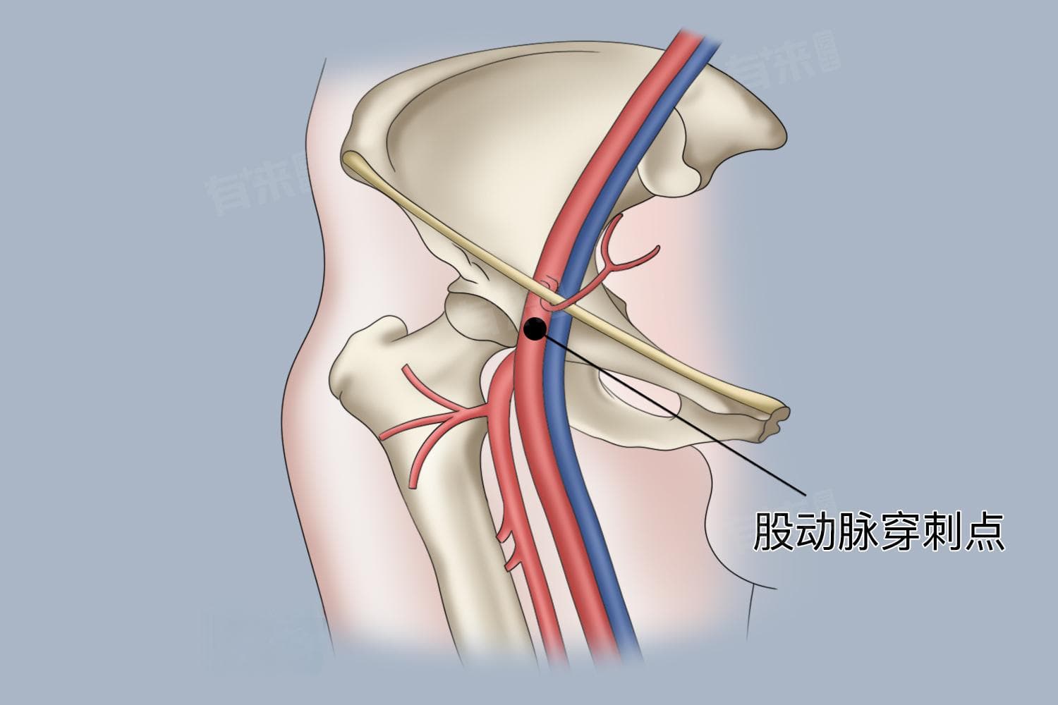 肝介入治疗是什么意思