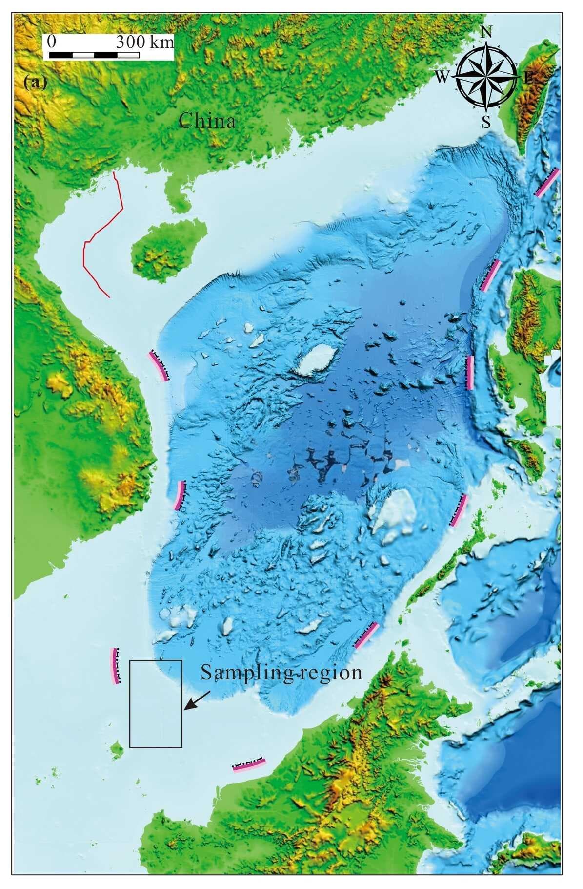 南海南部巽他陆架表层沉积物中古生物群落特征及其意义