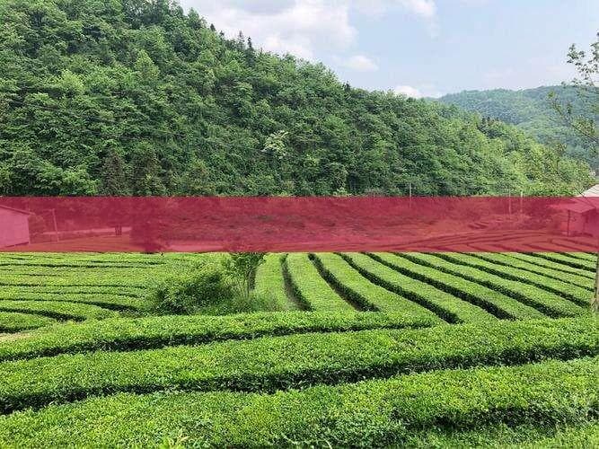 三亚游船攻略：六大景点游船体验详解