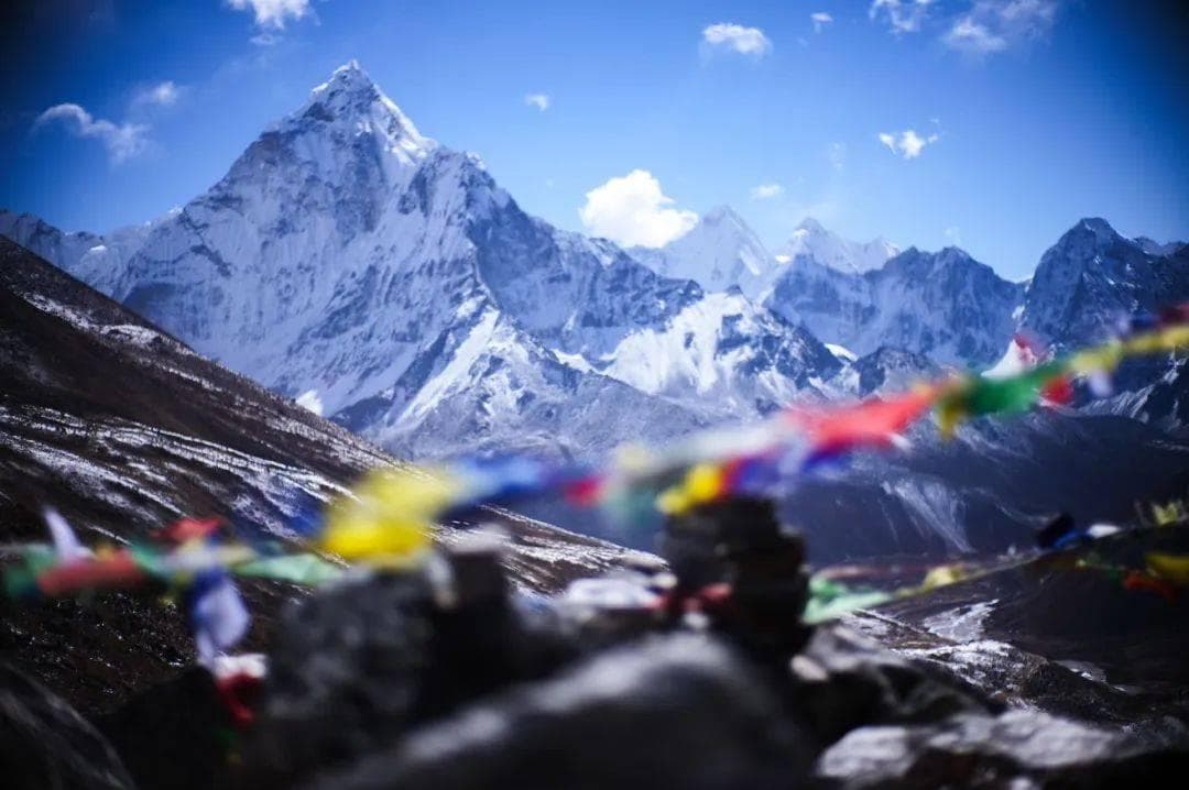 人体如何适应 8000 米以上海拔：探秘极限登山背后的身体密码