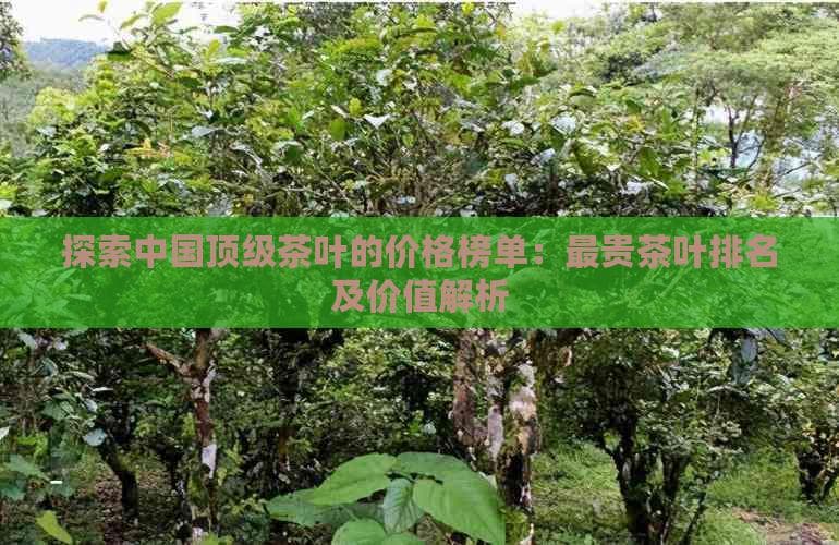 探索中国顶级茶叶的价格榜单：最贵茶叶排名及价值解析