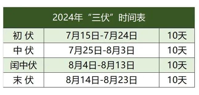 三伏贴全攻略：从原理到使用注意事项，一文读懂“冬病夏治”