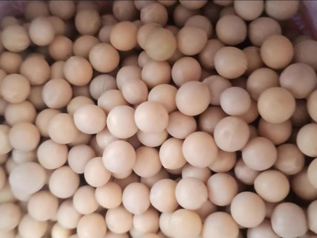 自制豆浆，每一口都是满满的幸福感