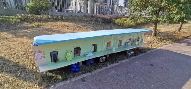 上海社区创新治理模式：搭建“流浪猫集体宿舍”实现多元共治