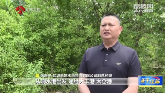 提质增效 江苏港口经济活力迸发