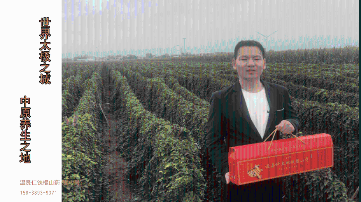 温县铁棍山药皮能吃吗？吃了有什么功效？