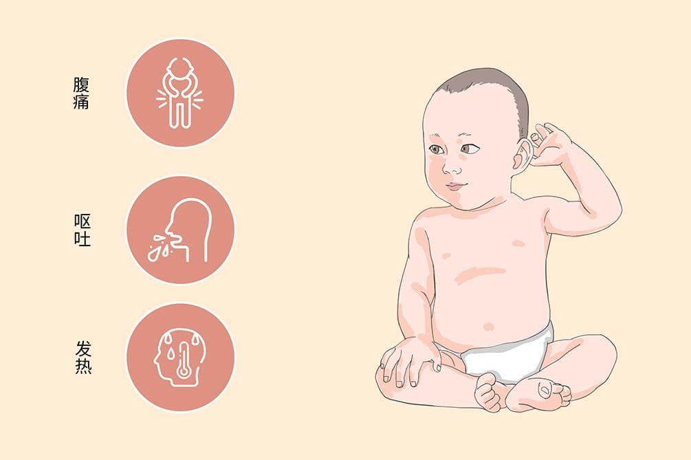 胃肠型感冒：病因、症状、诊断与治疗全解析