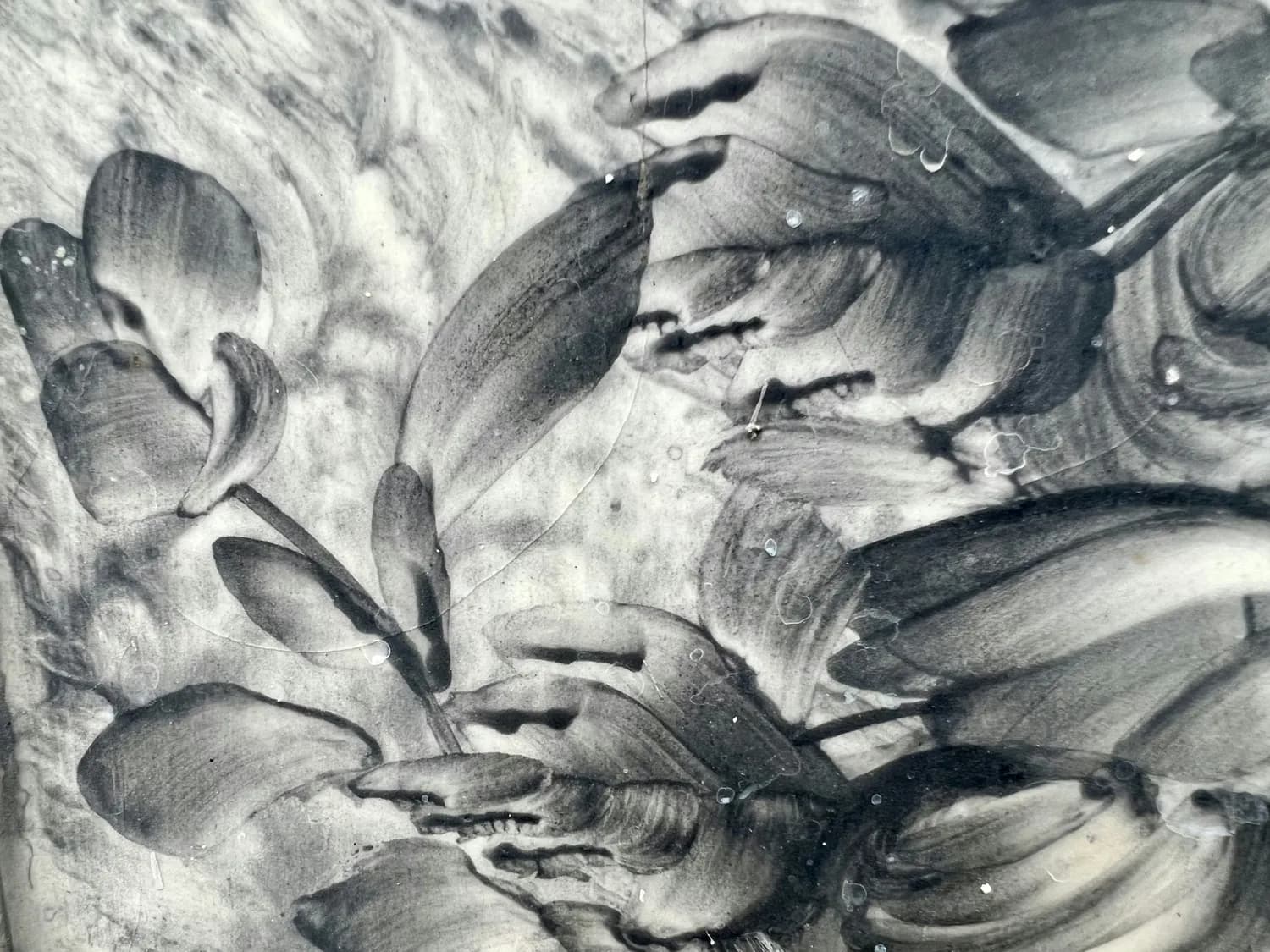 八大山人花鸟画，虚实相生的艺术魅力