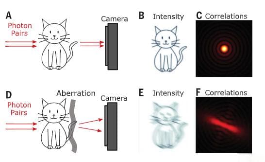研究透视：纠缠光子-自适应光学成像 | Science