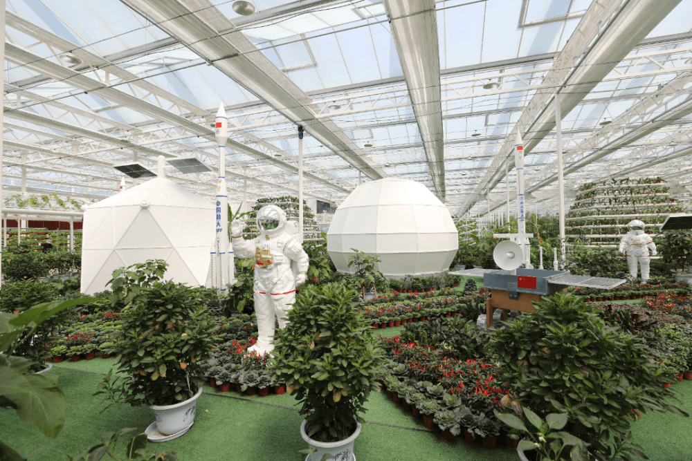 零工经济、数字农业、生态工业，解码衢州柯城高质量发展新路径