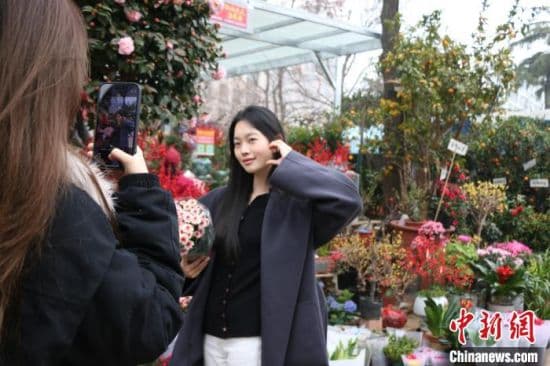 年轻人追捧年花 高性价比成首选