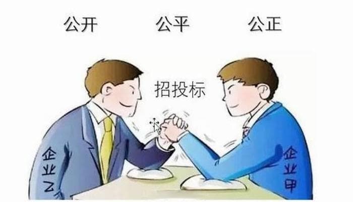 一文读懂招投标：新手入门指南