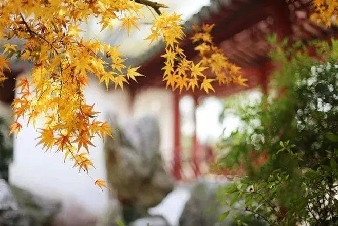 这十首诗，最适合秋天