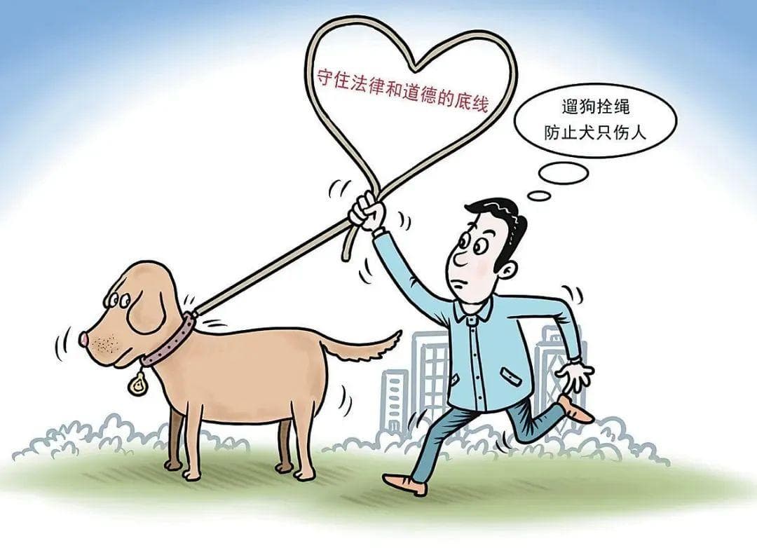 【以案释法】遛狗未牵绳咬伤其他狗和狗主人，饲养者被判赔偿近万元
